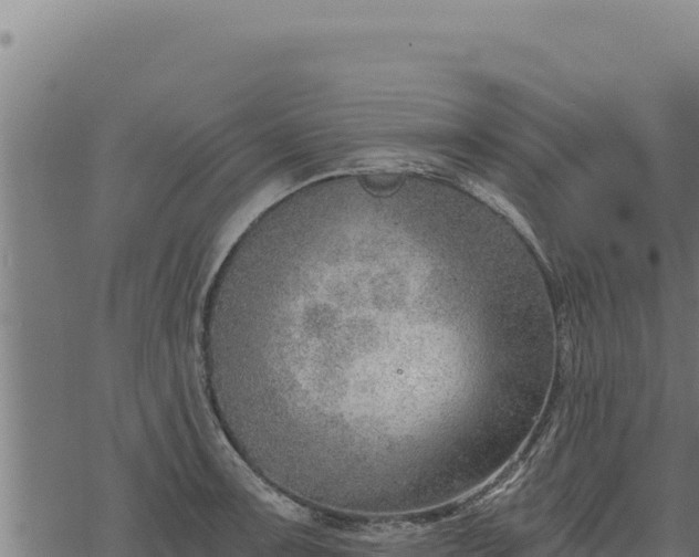 X0000068831091200605121335