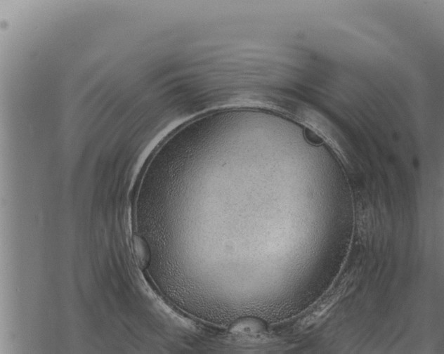 X0000068831092200605121335