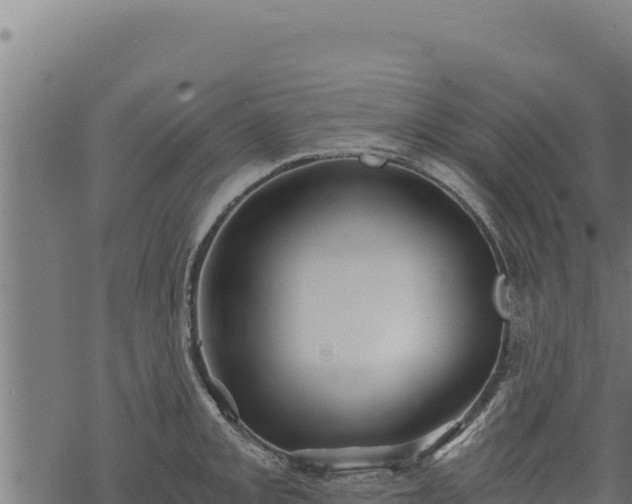 X0000068831093200605121335