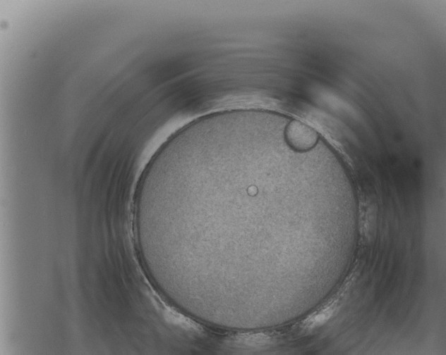 X0000068831094200605121335