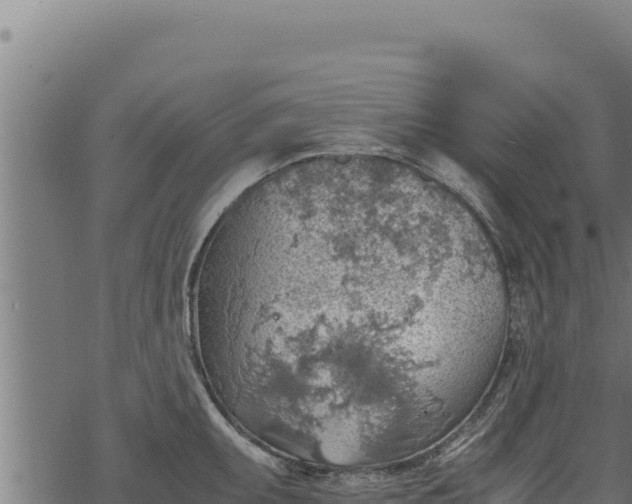 X0000068831095200605121335