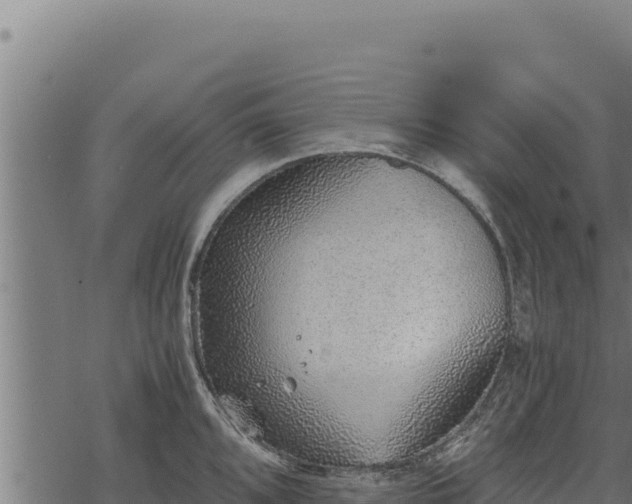 X0000068831096200605121335