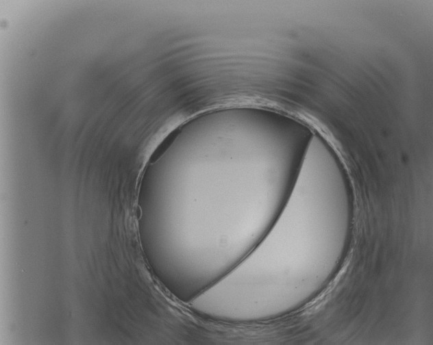 X0000068831097200605121335