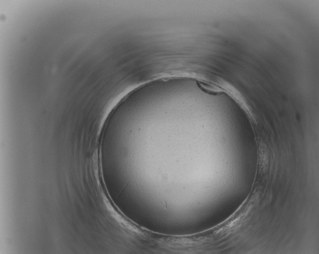 X0000068831100200605121335