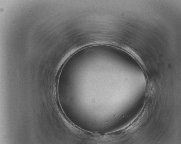 X0000068831101200605121335