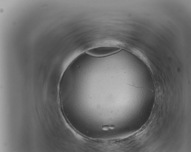 X0000068831103200605121335