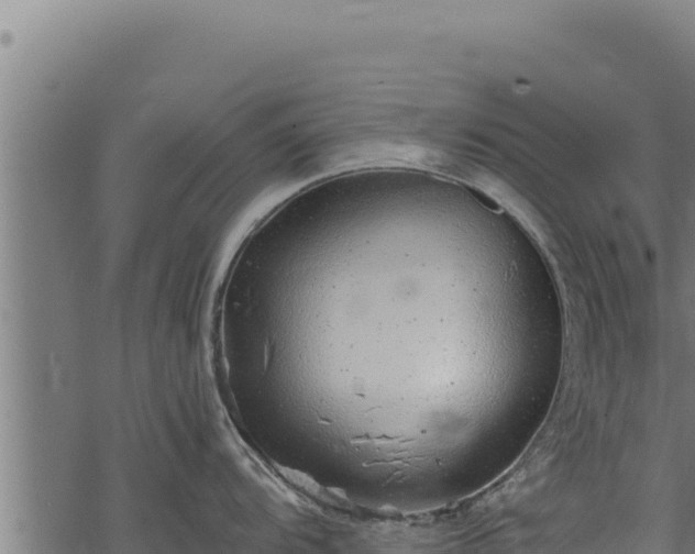 X0000068831104200605121335