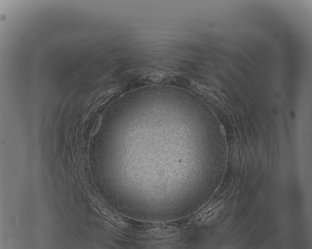 X0000068831105200605121334