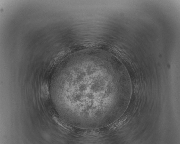 X0000068831106200605121334