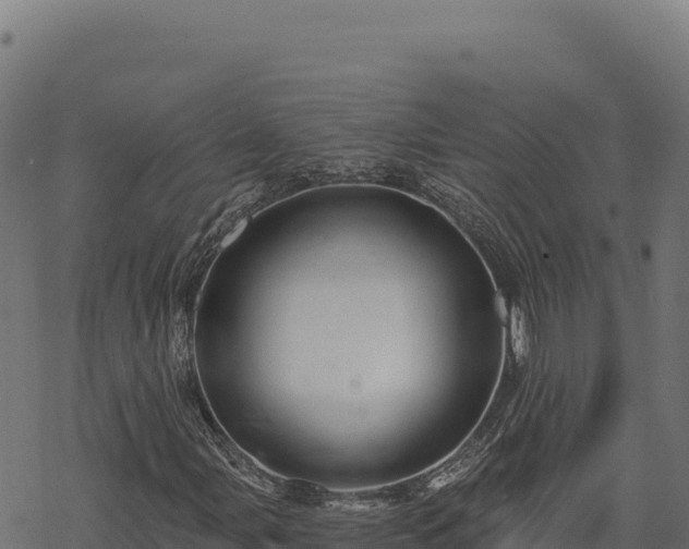 X0000068831107200605121334