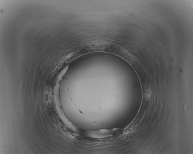 X0000068831108200605121334