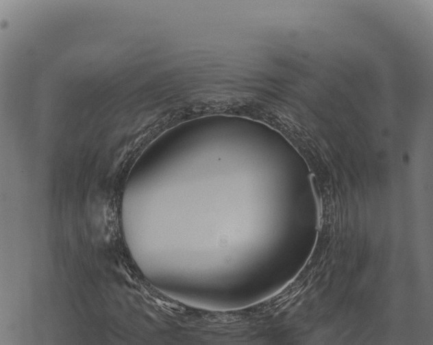 X0000068831109200605121334