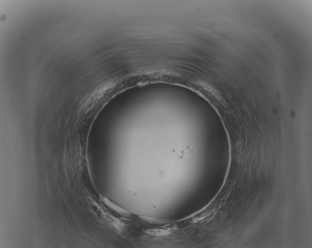 X0000068831111200605121334