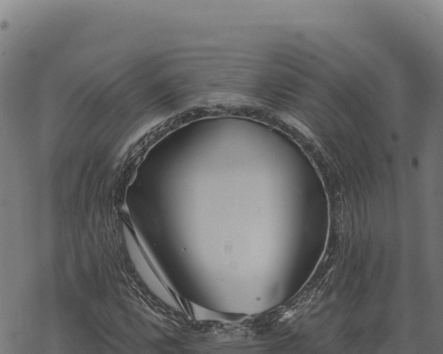 X0000068831112200605121334