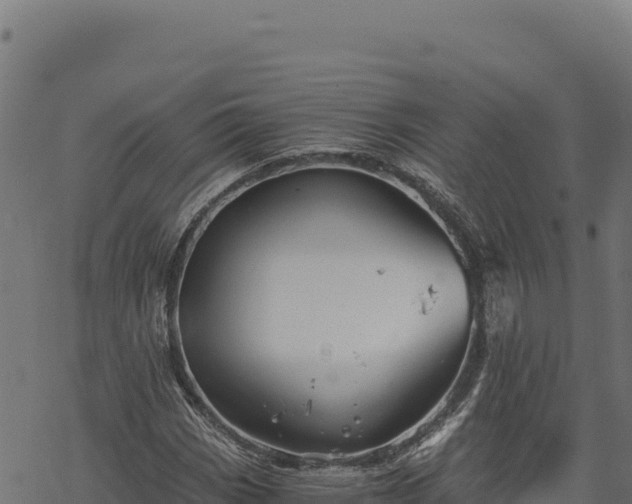 X0000068831113200605121334