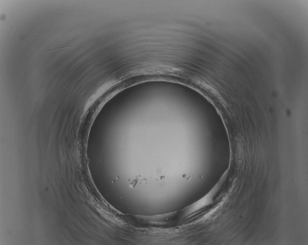 X0000068831114200605121334