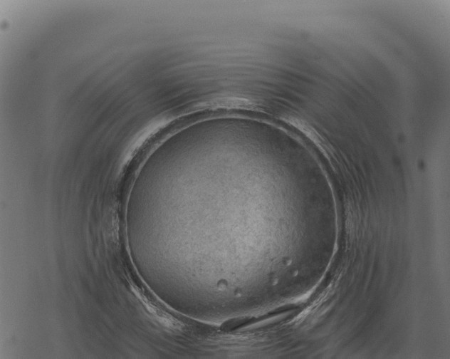 X0000068831115200605121334