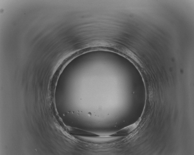 X0000068831116200605121334