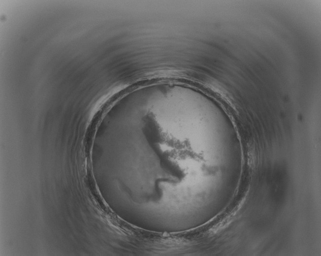 X0000068831117200605121334