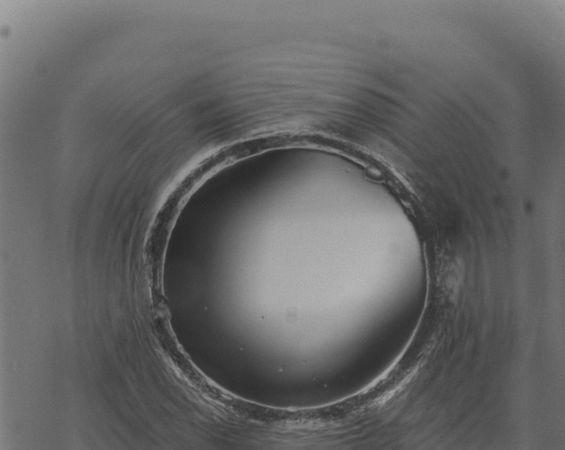 X0000068831118200605121334