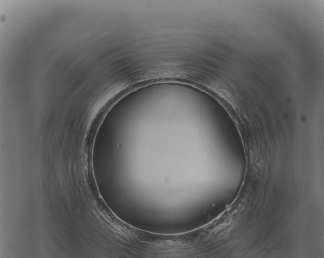 X0000068831119200605121334