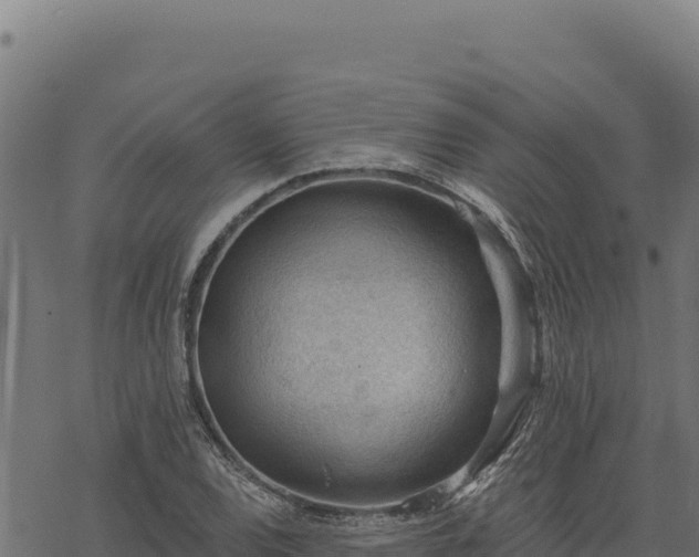 X0000068831120200605121334