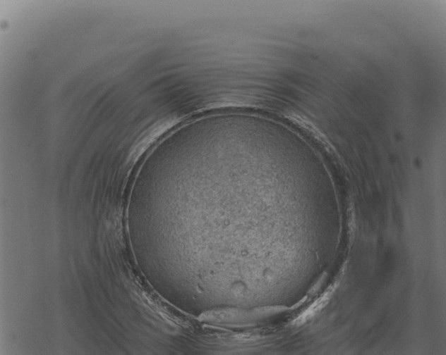 X0000068831121200605121334