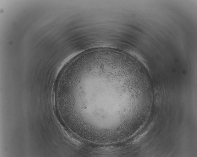 X0000068831125200605121334