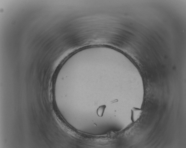 X0000068831126200605121334