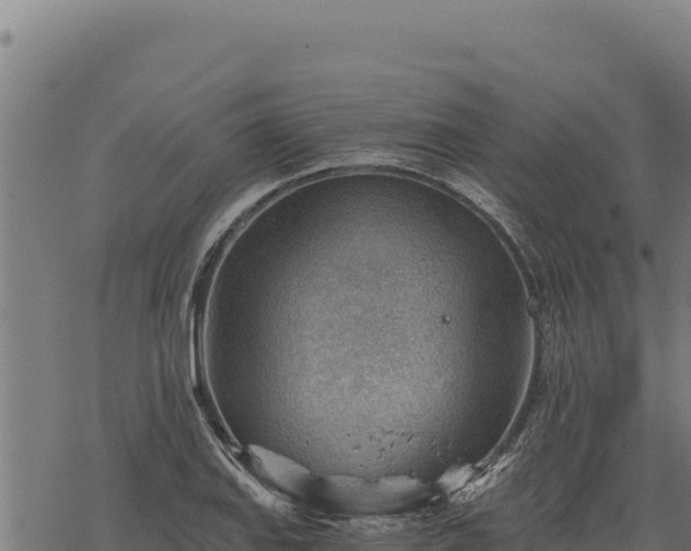 X0000068831127200605121334