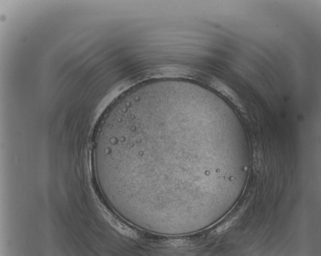 X0000068831130200605121334