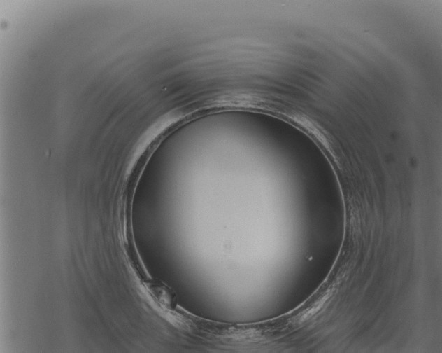 X0000068831131200605121334