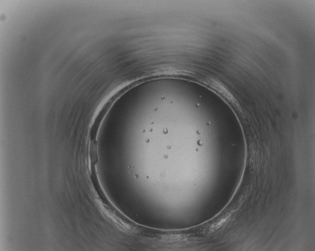 X0000068831132200605121334