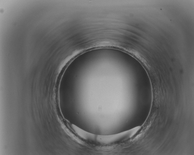 X0000068831134200605121334