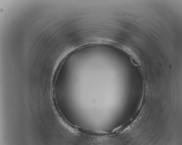 X0000068831136200605121334