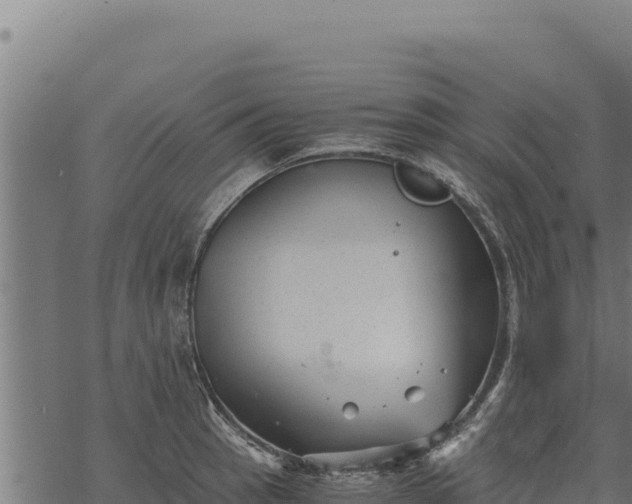 X0000068831137200605121334