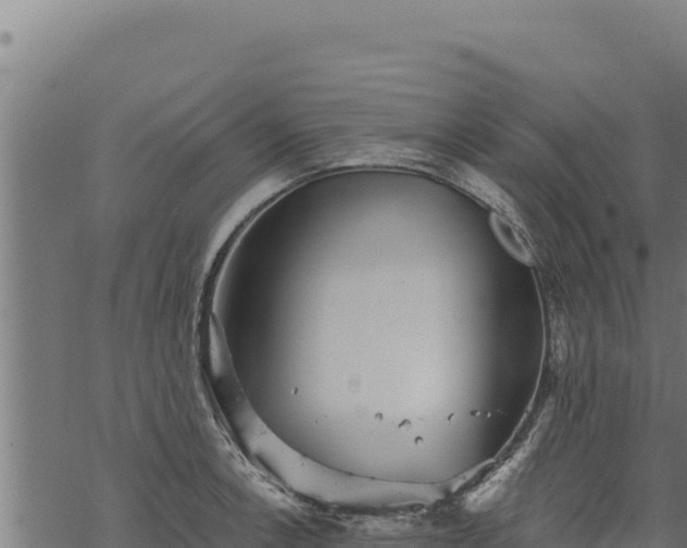 X0000068831138200605121334