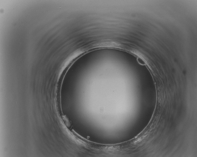 X0000068831139200605121334