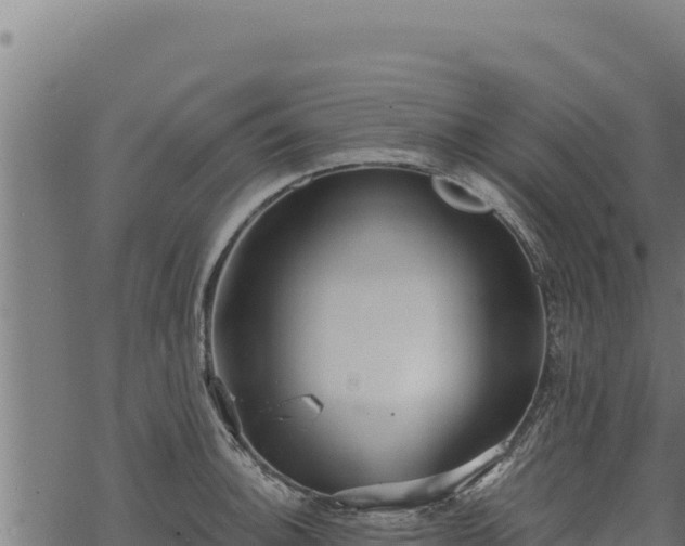 X0000068831140200605121334