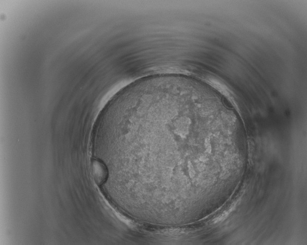 X0000068831141200605121334