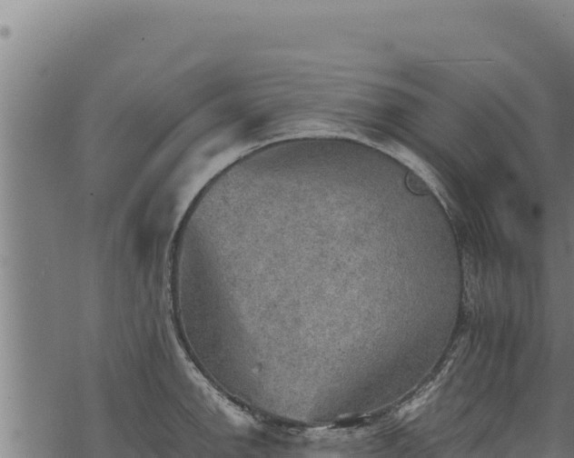 X0000068831142200605121334