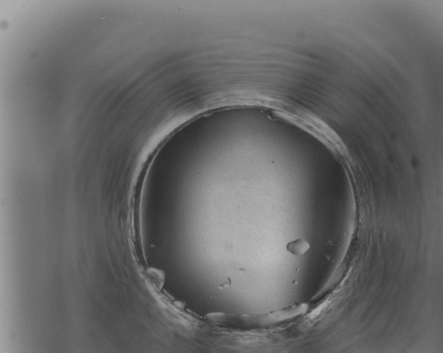 X0000068831144200605121334