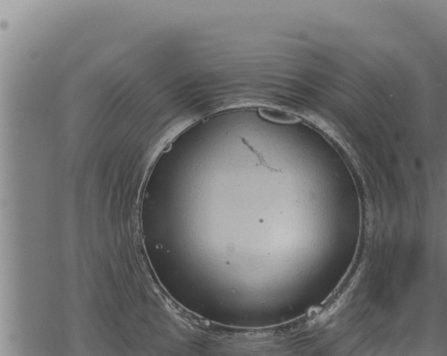 X0000068831145200605121334