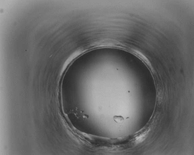 X0000068831146200605121334