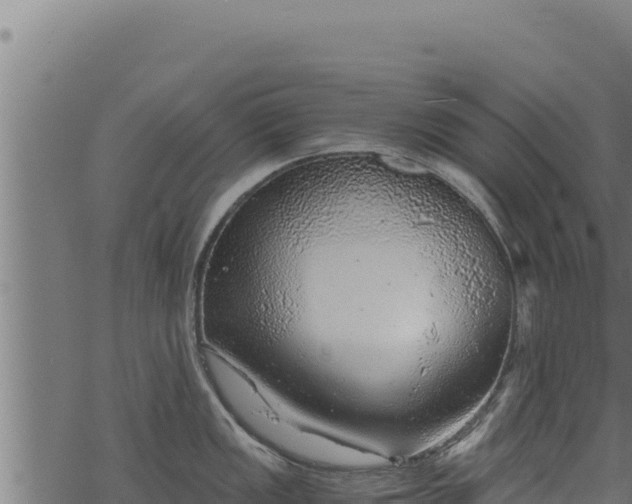 X0000068831149200605121335