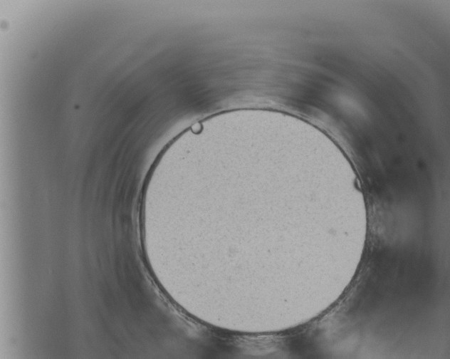 X0000068831150200605121335