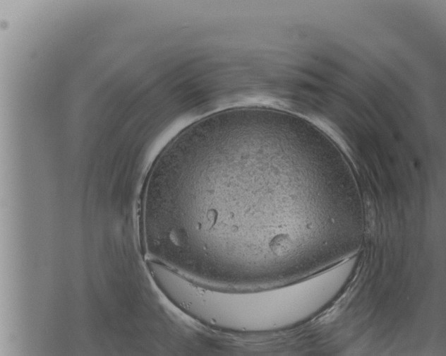 X0000068831151200605121335