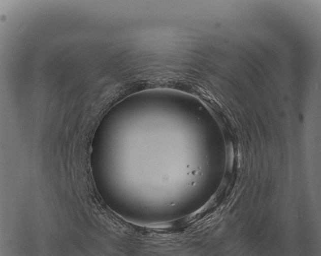 X0000068831153200605121334