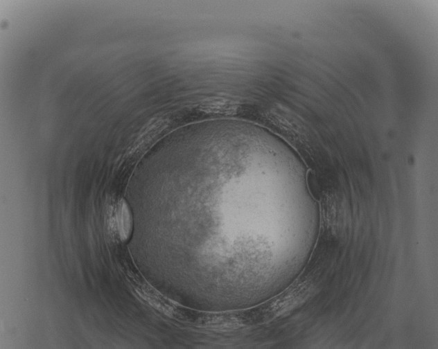 X0000068831154200605121334