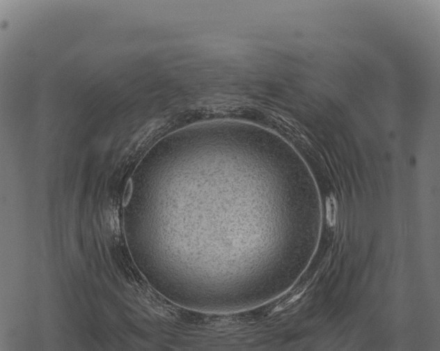 X0000068831155200605121334